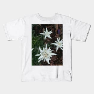 Edelweiss Kids T-Shirt